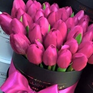 Meet your Posher, Naty